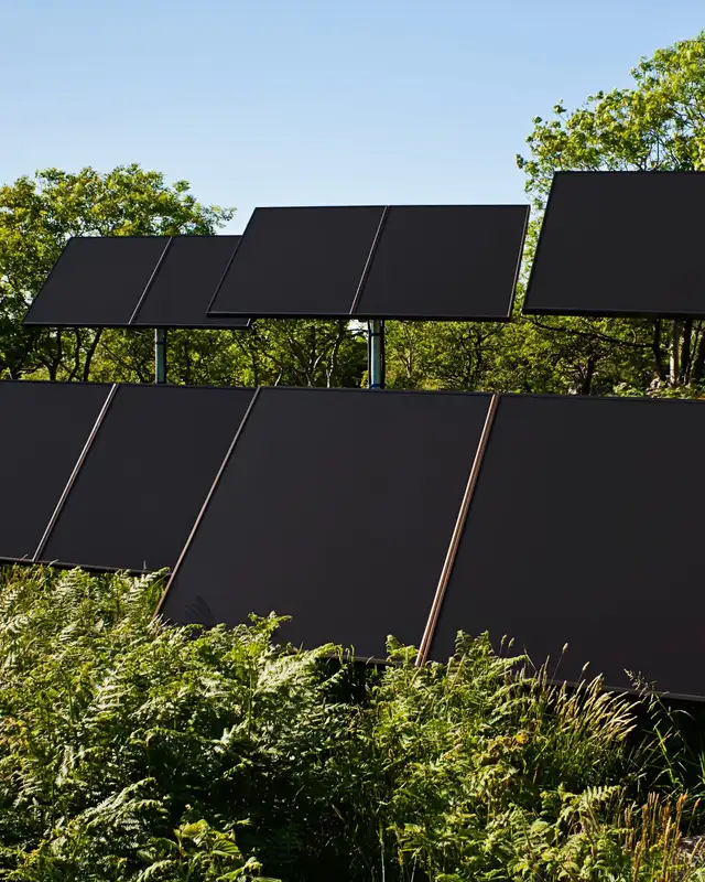Paneles solares negros sobre estructuras, entre vegetación y árboles