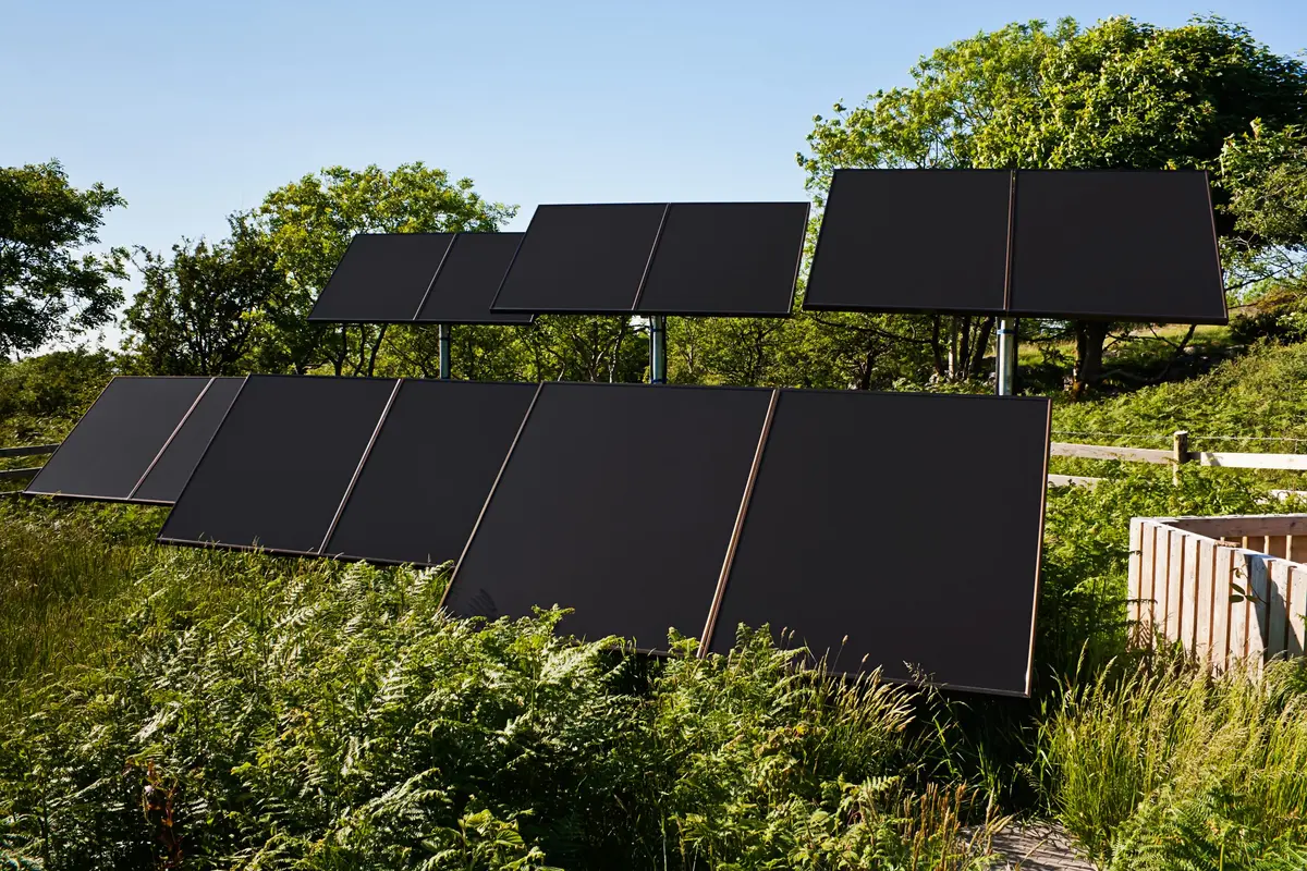 Paneles solares negros instalados entre vegetación